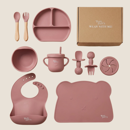 10 PIECE SILICONE WEANING SET