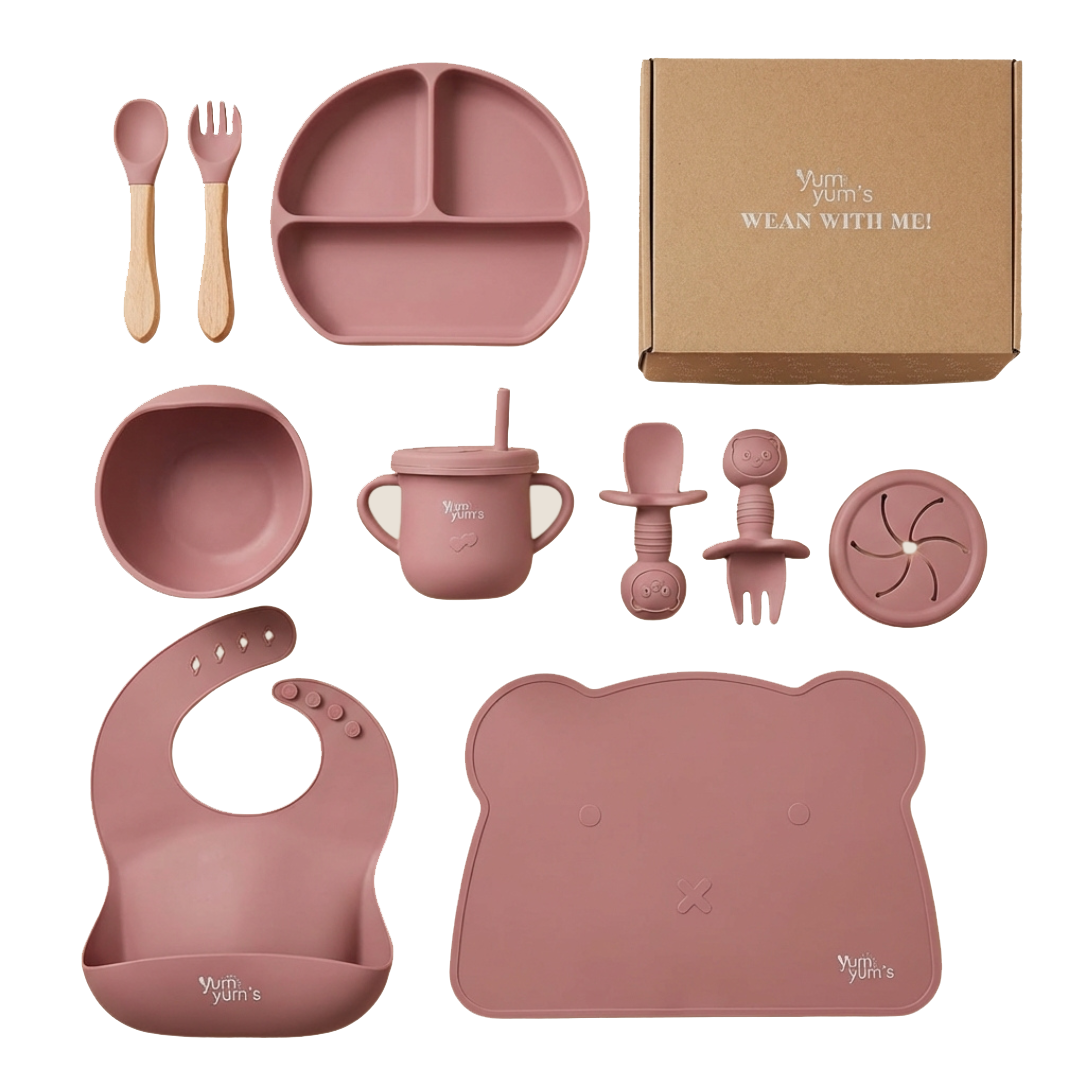 10 PIECE SILICONE WEANING SET