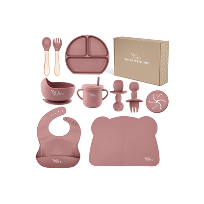 10 PIECE SILICONE WEANING SET