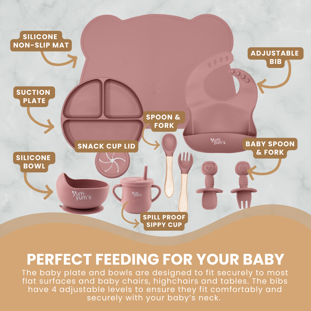 10 PIECE SILICONE WEANING SET