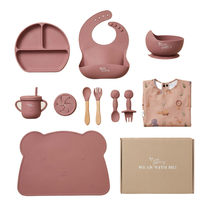 Weaning Starter Set (Silicone)